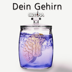 Dein Gehirn