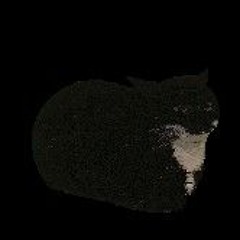 die-with-a-smile-uia cat version by-G.O.A.T.C.R.7