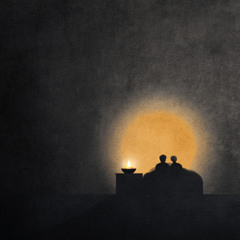 We Don't Have to Shine