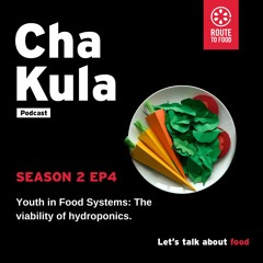 Episode 4: Youth in Food Systems | The viability of hydroponics