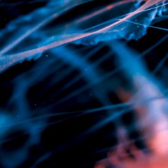 Emitto Audio - Barcos Y Velas EP [DRAMA003]