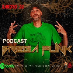 BREGA FUNK  2020 - AS MAIS TOCADAS - SANDRO DJ
