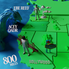 SHARKS w/ EBE Reef