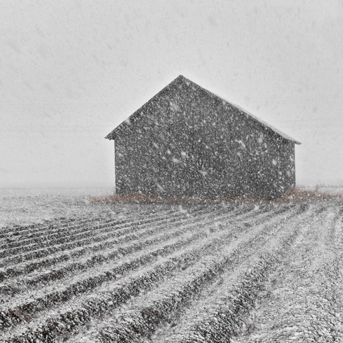 A Barn in a Blizzard - 13/4/2020 - Leistila Fields