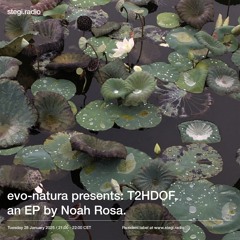 Stegi | evo-natura presents: T2HDOF, an EP By Noah Rosa ― 28th January 2025