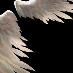 Сижка(VitalikTimchenko)