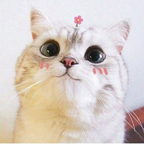 我喜歡你💓