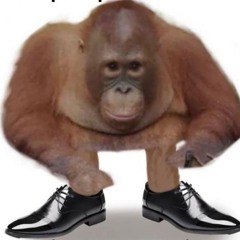 STINGER VS SUBZ VS CHANGO - ICUSIGHT (CLIP)