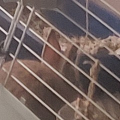 TinyTornados : ) chill playlist hsocndowpldhxna