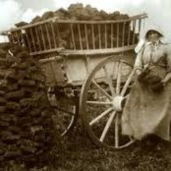 The Bog Cutters