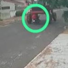 Original homem passa de moto embaixo de gafanhoto portal zacarias