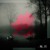 Artwork for Rinkaku - Limbo