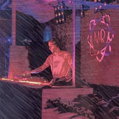 Danil Bilialov ‒ Live@MIR GOA | Sundowner Pulse