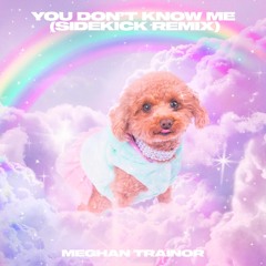 You Don't Know Me (Sidekick Remix)
