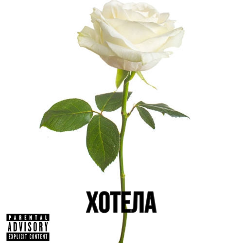 Хотела