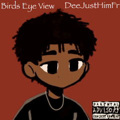 Birds Eye View