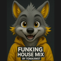 FUNKING