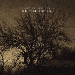 Elegy of Lost Hopes
