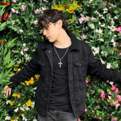 domesticado (prod. ROD)