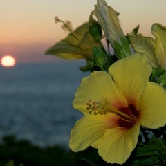 NF (ft. andreas moss)- lost in the moment (slowed and reverb)