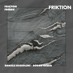 DANIELE BUSSOLENI - ROUGH OCEAN [FRIKTION FREEBIE]