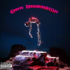 Own Dimension (ft Aleck Da King)