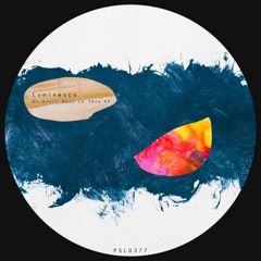 Luminescu - A dull Track (Original Mix)