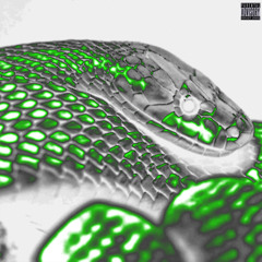 Snakes (prod by. pierre1k!)