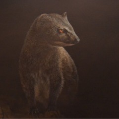 Mongoose Lime