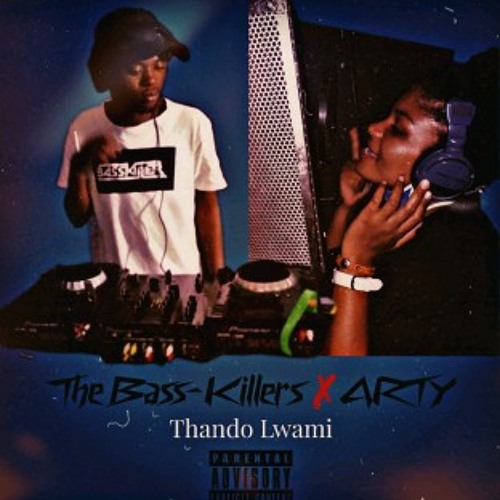 The Bass-killers ft. Arty - Thando Lwami