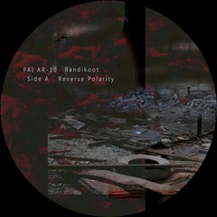 FAI AR-10 Bandikoot - Reverse Polarity