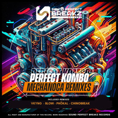 Perfect Kombo - Mechanoca (BLOW Remix)