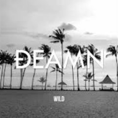 DEAMN - Wild (Original Mix )