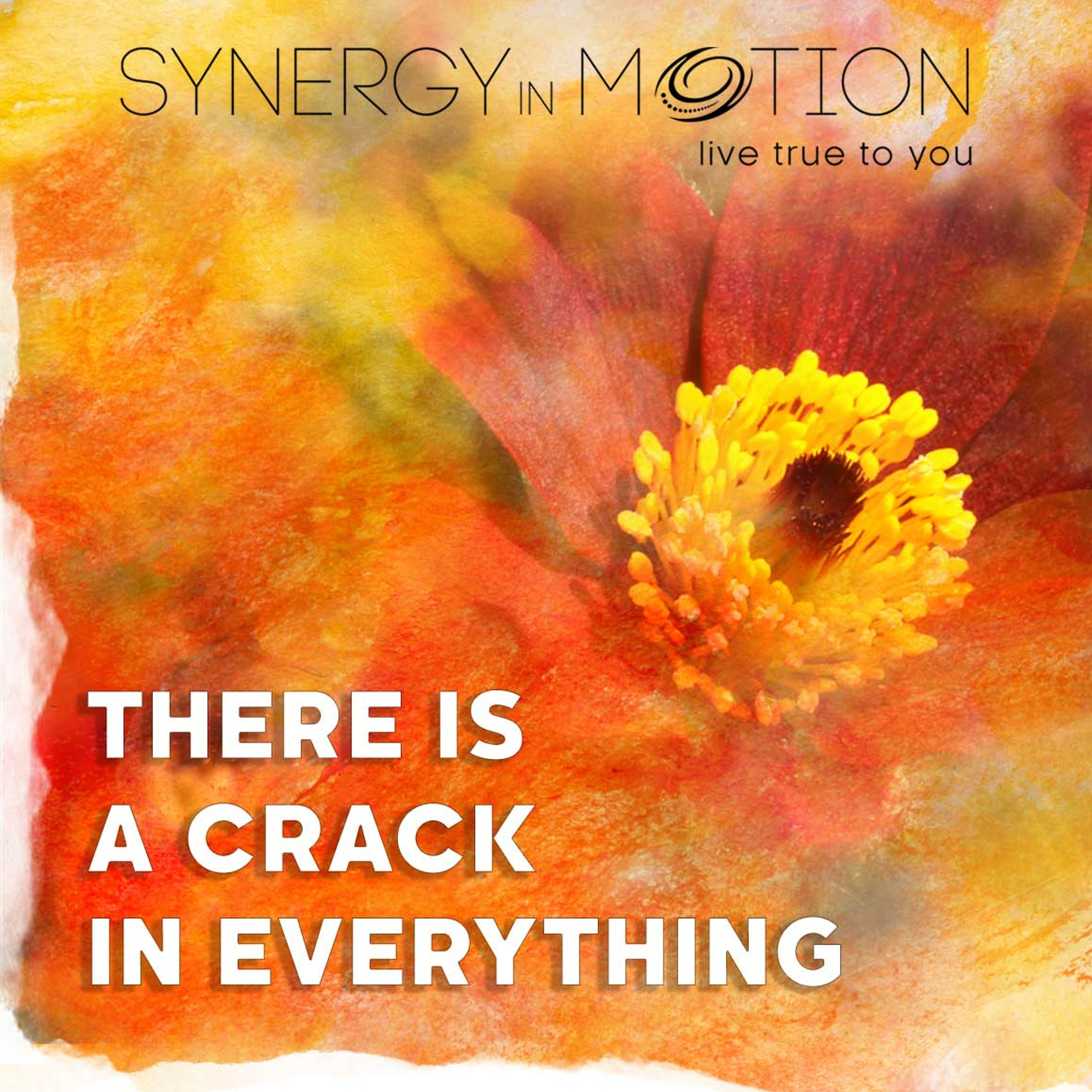 There Is A Crack In Everything ~ Hexagram 36 episode artwork