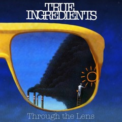 Mr Milk on Album Through The Lens by True Ingredients