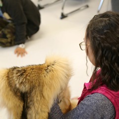 NPR Podcast Challenge 2021