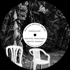 How To Fly WELTiTA - PRF edit