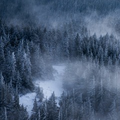 kennybattle3-1-21 [2nd place]