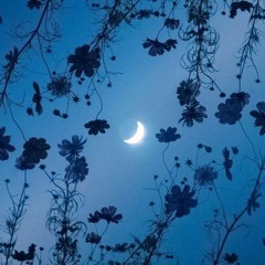 song for the moon (she's so blue)