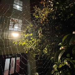 The Twins - SLUMDOG (Dani Doom Remix)