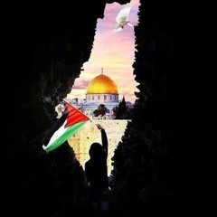 ولا تقولوا لِمن يُقتل في سبيل الله أمواتٌ بل أحياءٌ ولكن لا تشعرون | أحمد النفيس