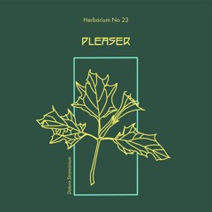 Herbarium No 23 - Pleaser - Datura Stramonium