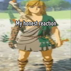 Zelda Hateno Ancient Lab Remix (clip)