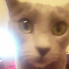 guitar needs to be more textured! the rhythm rn doesn't work