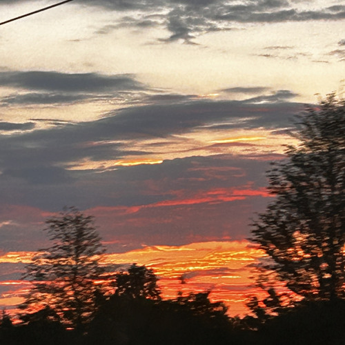 DMT(debby’s midnight trip)