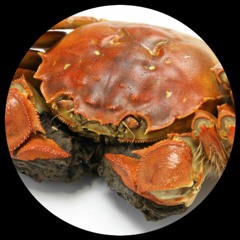 [WLL002] Shanghai Crab Dub (Free DL)