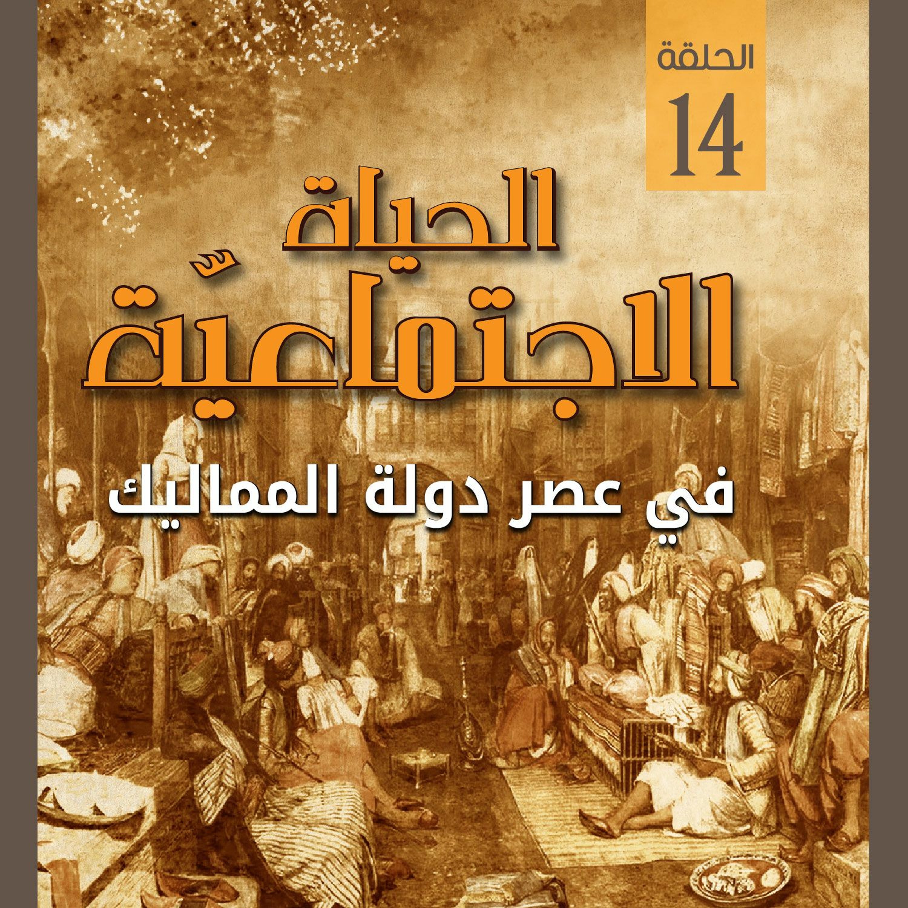 الحياة الاجتماعية في عصر دولة المماليك