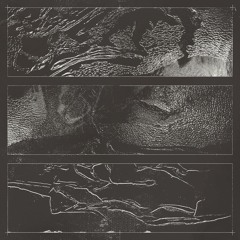 Bidoben - Sleepwalk (preview)