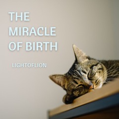 The Miracle Of Birth