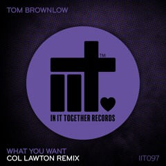 What You Want (Col Lawton Remix)